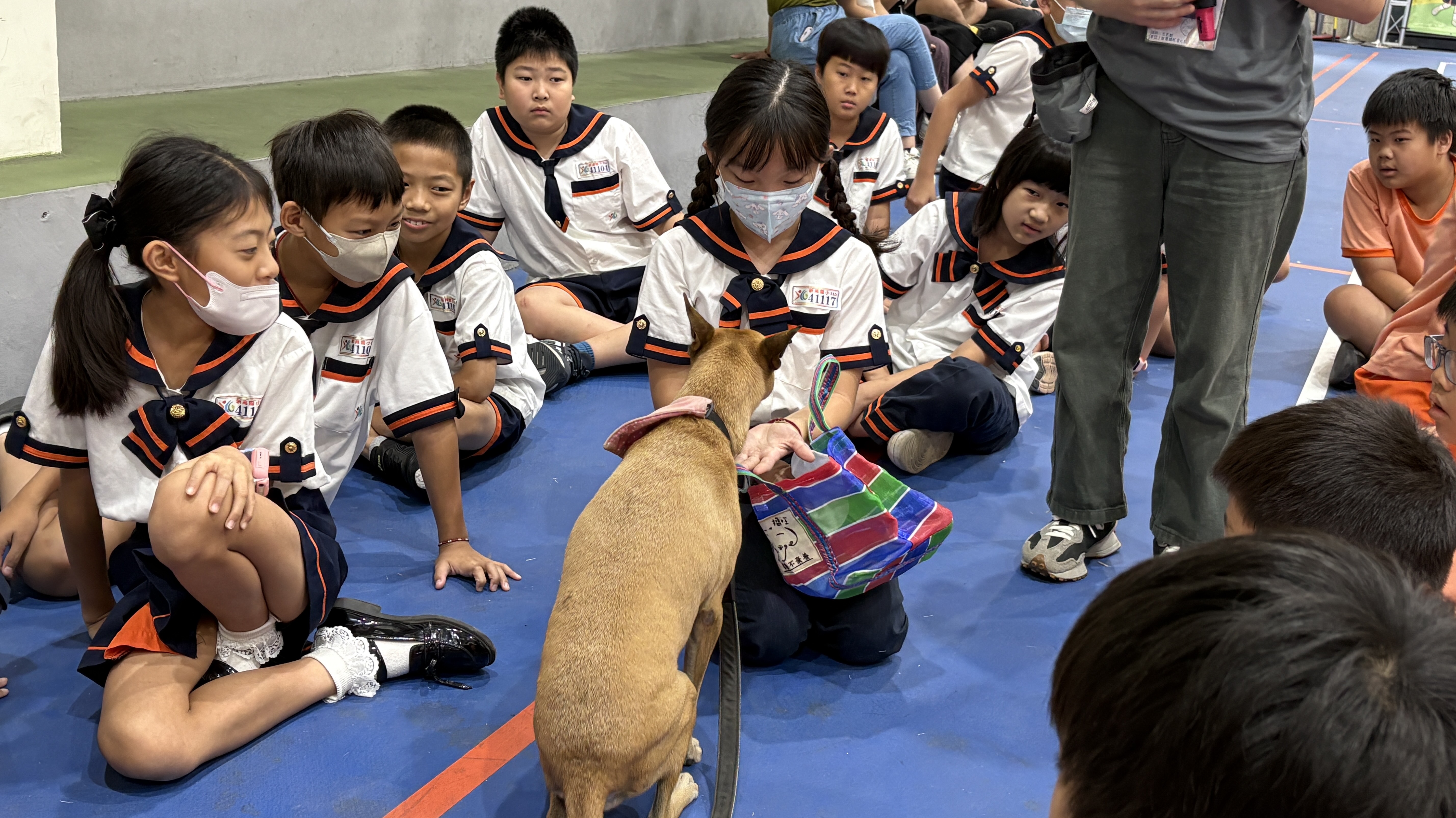 20261022動物保護暨狂犬病防疫校園學生巡迴教育宣導